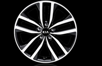 Kia Optima 2.0L 2015 - Bán ô tô Kia Optima 2.0L 2015, màu bạc, giá chỉ 958 triệu