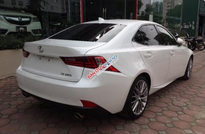 Lexus IS250   2014 - Bán ô tô Lexus IS250 sản xuất 2014, màu trắng, nhập khẩu