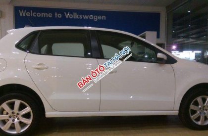 Volkswagen Polo   AT 2016 - Bán Volkswagen Polo AT đời 2016, màu trắng, nhập khẩu chính hãng