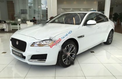 Jaguar XF Prestige   2016 - Bán Jaguar XF Prestige đời 2016, màu trắng, nhập khẩu