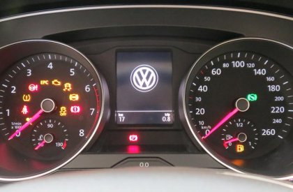 Volkswagen Passat GP 2017 - Bán xe Volkswagen Passat 2017- màu nho cực sang, cực hiếm LH: 0973.097.627