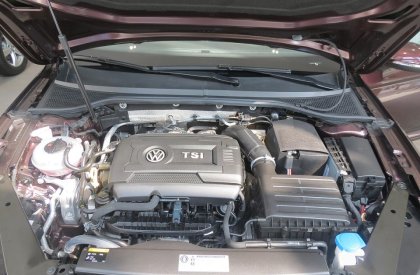 Volkswagen Passat GP 2017 - Bán xe Volkswagen Passat 2017- màu nho cực sang, cực hiếm LH: 0973.097.627