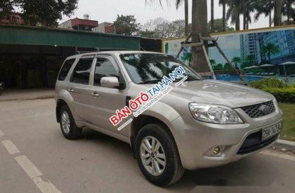 Ford Escape   AT 2011 - Bán xe Ford Escape AT đời 2011, màu bạc số tự động