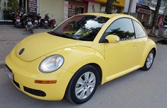 Volkswagen Beetle 2008 - Bán xe Volkswagen Beetle 2.5AT sản xuất 2008