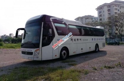 Hyundai Universe Xpress Luxury 2012 - Bán Hyundai Universe Xpress Luxury sản xuất 2012, màu trắng, nhập khẩu