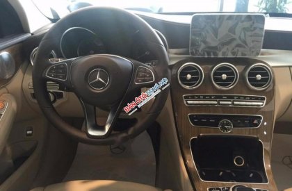 Mercedes-Benz C250  Exclusive 2017 - Cần bán xe Mercedes C250 Exclusive năm 2017, mới 100%