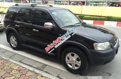 Ford Escape XLT 2003 - Cần bán lại xe Ford Escape XLT đời 2003, màu đen số tự động, 185tr