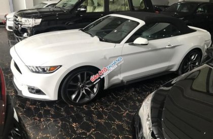 Ford Mustang Ecoboost 2.3L 2016 - Cần bán xe Ford Mustang Ecoboost 2.3L sản xuất 2016, màu trắng, xe nhập