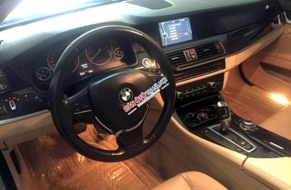 BMW 5 Series 528i 2010 - Cần bán gấp BMW 5 Series 528i sản xuất 2010, xe nhập ít sử dụng