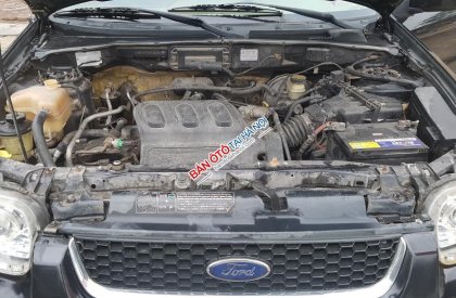 Ford Escape XLT 2004 - Bán xe Ford Escape AT XLT 2004 đẹp và ít sử dụng