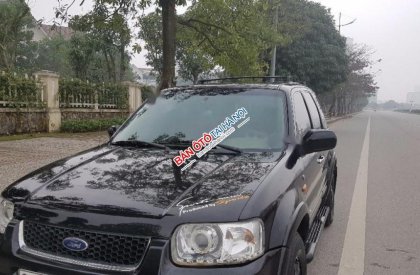 Ford Escape XLT 2004 - Bán gấp Ford Escape XLT sản xuất 2004, màu đen, nhập khẩu