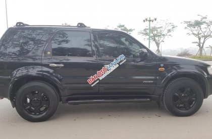 Ford Escape XLT 2004 - Bán xe Ford Escape AT XLT 2004 đẹp và ít sử dụng