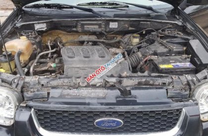 Ford Escape XLT 2004 - Bán gấp Ford Escape XLT sản xuất 2004, màu đen, nhập khẩu