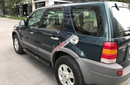 Ford Escape XLT 2004 - Cần bán Ford Escape XLT đời 2004 chính chủ