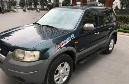 Ford Escape XLT 2004 - Cần bán Ford Escape XLT đời 2004 chính chủ