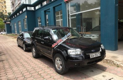 Ford Escape XLT  2004 - Bán xe Ford Escape XLT đời 2004, màu đen  