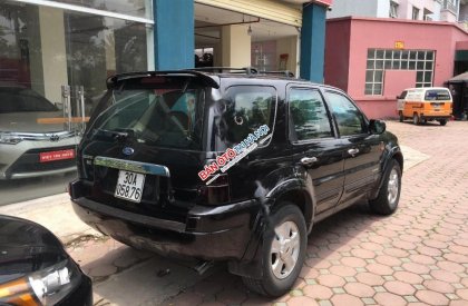 Ford Escape XLT  2004 - Bán xe Ford Escape XLT đời 2004, màu đen  