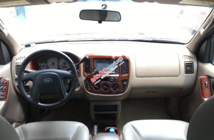 Ford Escape XLT  2004 - Bán xe Ford Escape XLT đời 2004, màu đen  