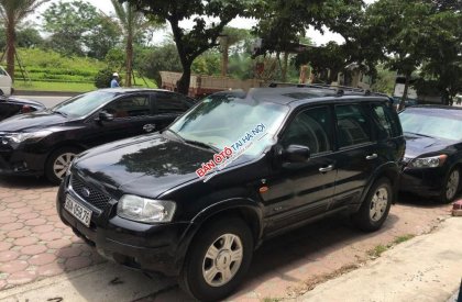 Ford Escape XLT  2004 - Bán xe Ford Escape XLT đời 2004, màu đen  