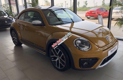 Volkswagen New Beetle 2018 - Cần bán xe Volkswagen New Beetle năm 2018, màu cam, nhập khẩu nguyên chiếc