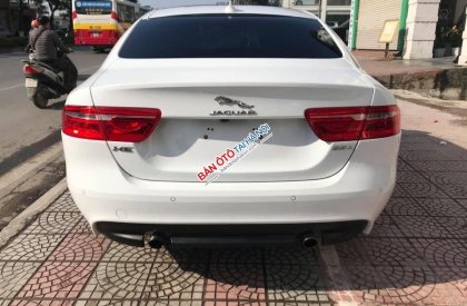 Jaguar XE Portilo 2015 - Cần bán Jaguar XE Portilo đời 2016, màu trắng, nhập khẩu