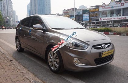 Hyundai Accent Blue  2014 - Cần bán xe Hyundai Accent đời 2014, màu nâu, nhập khẩu, 455 triệu