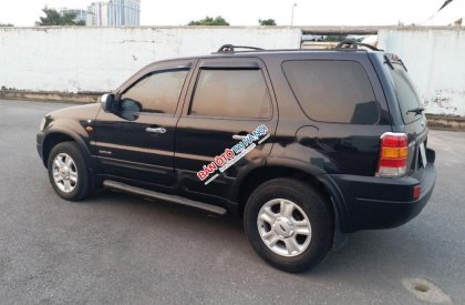 Ford Escape XLT 2004 - Bán Ford Escape XLT sản xuất 2004, màu đen 