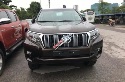 Toyota Prado VX 2018 - Bán xe Toyota Prado VX năm sản xuất 2018, màu đồng ánh kim, nhập khẩu nguyên chiếc