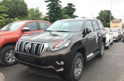 Toyota Prado VX 2018 - Bán xe Toyota Prado VX năm sản xuất 2018, màu đồng ánh kim, nhập khẩu nguyên chiếc