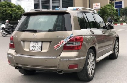 Mercedes-Benz GLK Class 300 2010 - Bán ô tô Mercedes 300 đời 2010, màu vàng, xe nhập