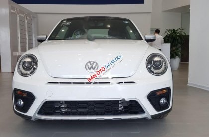Volkswagen New Beetle 2018 - Bán Volkswagen New Beetle năm sản xuất 2018, màu trắng, xe nhập