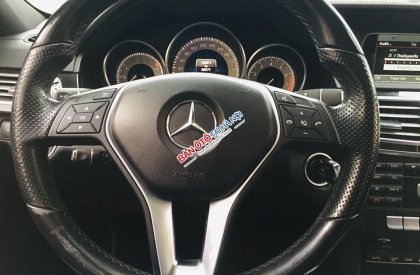 Mercedes-Benz E class e250 2013 - Bán Mercedes E250 2013, màu nâu, nội thất đen