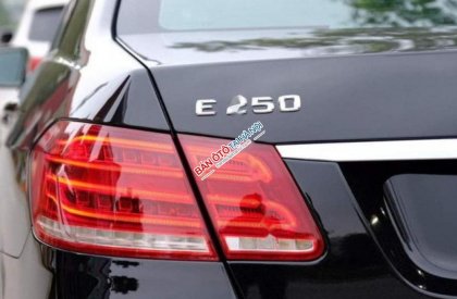 Mercedes-Benz E class E250 2013 - Bán xe cũ Mercedes E250 năm 2013, màu đen sang trọng