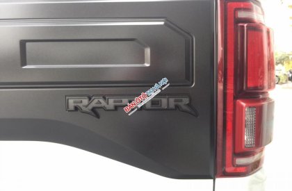 Ford F 150 2019 - Bán siêu bán tải Ford F150 Raptor 2020 giá tốt, giao ngay
