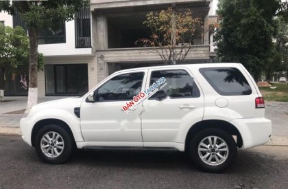 Ford Escape XLT 2010 - Bán xe Ford Escape XLT máy xăng 2 cầu, sản xuất 2010, đăng ký lần đầu 2011, lần 2 sang tên mình năm 2015