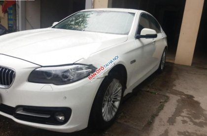 BMW 5 Series 520i 2014 - Bán BMW 520i 2014, màu trắng, nhập khẩu chính chủ