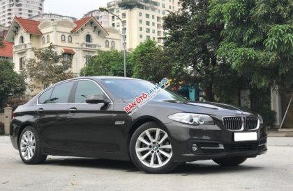 BMW 5 Series  520i  2016 - BMW 5 Series đời 2017, màu xám (ghi), nhập khẩu nguyên chiếc