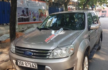 Ford Escape XLT 2009 - Bán Ford Escape XLT năm sản xuất 2009, màu bạc, nhập khẩu 