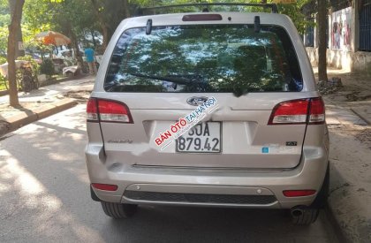 Ford Escape XLT 2009 - Bán Ford Escape XLT năm sản xuất 2009, màu bạc, nhập khẩu 