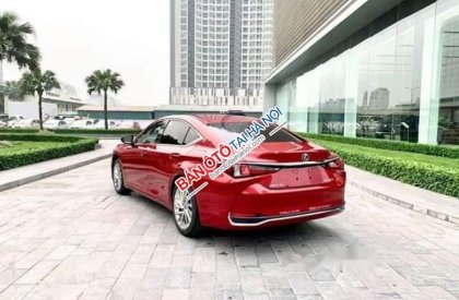 Lexus ES  250  2019 - Bán xe Lexus ES 250 năm 2019, màu đỏ, xe nhập. Giao ngay