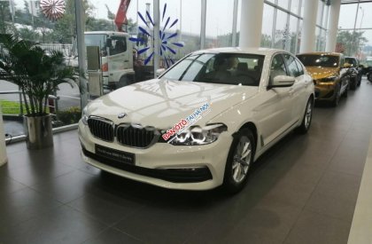 BMW 5 Series 520i 2018 - Bán xe BMW 520i năm 2018, màu trắng, xe nhập