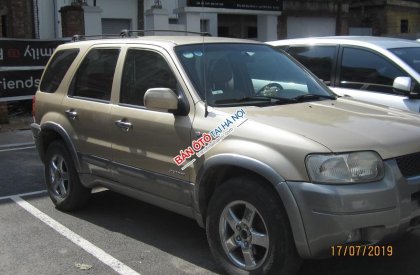 Ford Escape XLS 3.0 V6 2002 - Bán xe Ford Escape tự động - ảnh thật