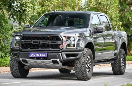 Ford F 150 Raptor 2019 - Bán Ford F-150 Raptor sản xuất 2019, màu đen, xe nhập khẩu nguyên chiếc