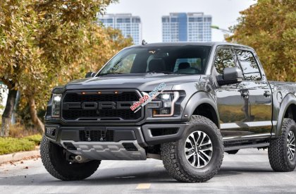 Ford F 150 Raptor 2019 - Bán Ford F-150 Raptor sản xuất 2019, màu đen, xe nhập khẩu nguyên chiếc