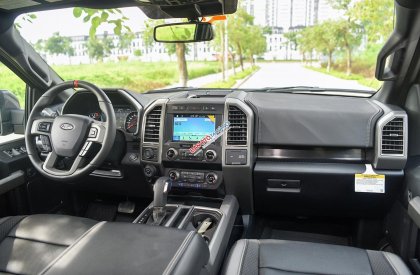 Ford F 150 Raptor 2019 - Bán Ford F-150 Raptor sản xuất 2019, màu đen, xe nhập khẩu nguyên chiếc