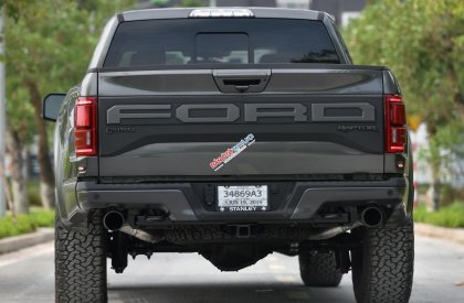 Ford F 150 Raptor 2019 - Bán Ford F-150 Raptor sản xuất 2019, màu đen, xe nhập khẩu nguyên chiếc