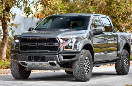 Ford F 150 Raptor 2019 - Bán Ford F-150 Raptor sản xuất 2019, màu đen, xe nhập khẩu nguyên chiếc