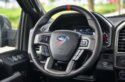 Ford F 150 Raptor 2019 - Bán Ford F-150 Raptor sản xuất 2019, màu đen, xe nhập khẩu nguyên chiếc