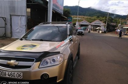 Chevrolet Captiva LTZ 2.4 AT 2006 - Bán Chevrolet Captiva LTZ 2.4 AT đời 2006, màu vàng, số tự động