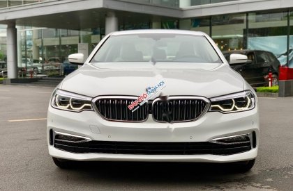 BMW 5 Series 530i Luxury Line 2019 - Bán BMW 530i Luxury Line 2019, màu trắng, nhập khẩu